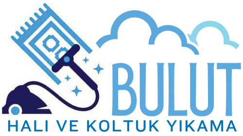 Bulut Koltuk Yıkama